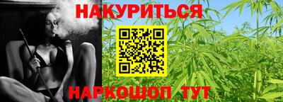 сатива Аргун