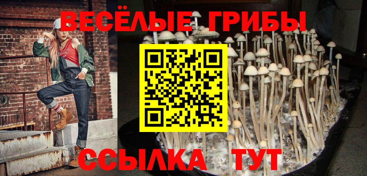 Галлюциногенные грибы мицелий Борзя