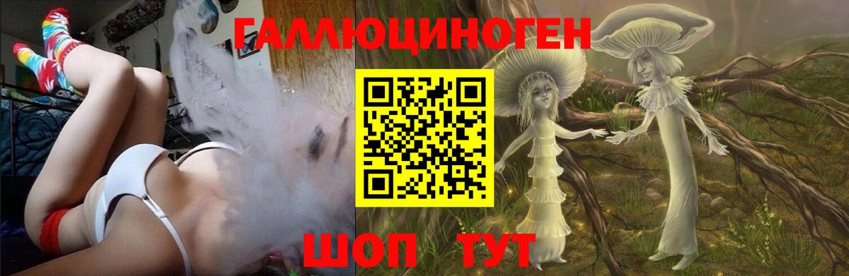 Псилоцибиновые грибы GOLDEN TEACHER  Галлюциногенные грибы MAGIC MUSHROOMS  Вход с VPN  Борзя 